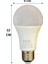 12W 4000K (Günışığı) E27 Duylu LED Ampul (2 Adet) 3