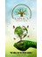 3 Adet - Tüplü Yaban Mersini ( Blue Berry ) Fidanı 2 Yaş 5