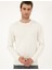 Erkek Ekru Slim Fit Bisiklet Yaka Basic Triko Kazak 50296575-VR019 3
