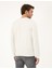 Erkek Ekru Slim Fit Bisiklet Yaka Basic Triko Kazak 50296575-VR019 5