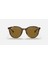 RB4334D 710/83 55-19 Ray-Ban Unisex Güneş Gözlükleri 2