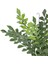 Yapay Ruskus Demeti 65 cm 2