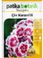 100 Adet Çin Karanfili (Dianthus Chinensis) Çiçek Tohumu 2