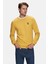 Valley Sarı Bisiklet Yaka Baskılı Standard Fit Erkek Sweatshirt 1