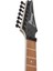 RG7420EX-BKF Elektro Gitar 4