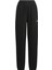 Q3 Ide Fleece Pant Siyah Kadın Eşofman Altı 4