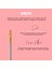 Professional Makeup Brush Champagne Dudak Fırçası Makyaj Fırçası No:23 2