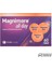 Tab İlaç Magnimore All Day 60 Tablet 2