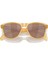 Youth Frogskins Xs OJ9006 Yuvarlak Şeffaf Sarı Erkek Güneş Gözlüğü 5