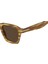 Kahve Erkek Güneş Gözlüğü 207162EX4492P 4