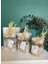 Çok Renkli Mumluk Buğdaylı Kare Tealight 3'lü Takım 1