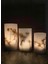 Çok Renkli Mumluk Mimoza Silindir Tealight 3'lü Takım 3