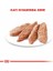 Ccn Exigent Loaf Pate Pouch Küçük Irk Yetişkin Köpek Konservesi 12 Adet 85 gr 3