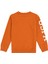 Erkek Çocuk Tarçın Sweatshirt 50293643-VR191 2