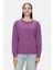 Sunniva Mor Bisiklet Yaka Nakışlı Loose Fit Kadın Sweatshirt 1