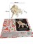 3D Ahşap Puzzle Aslan 34 Parça Kendin Yap Kit (Dıy, Yapboz, Boyanabilir) 2
