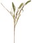 Yapay Bitki Setaria Pamuk (Kirpi Darı) Yeşil 90 cm . 1