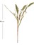Yapay Bitki Setaria Pamuk (Kirpi Darı) Yeşil 90 cm . 3