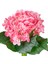 Yapay Çiçek Islak Dokulu Ortanca Buket Pembe 26 cm . 2