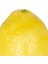 Yapay Limon Sarı 9,5X7X6 Cm. 3