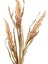 Yapay Bitki Sorgum Krem 63 cm . 2