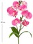 Yapay Orkide Gerçek Dokunuş Pembe 45 cm . 4