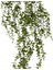 Yapay Bitki Sarmaşık Okaliptus Demet Yeşil 90 cm . 2