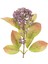Yapay Bitki Simüle Berry Dal Mor 52 cm . 2