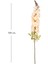 Yapay Çiçek Sümbül-Şebboy Krem 105 cm . 4