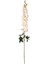 Yapay Çiçek Şebboy Krem 125 cm . 1