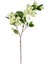 Yapay Islak Dokulu Sütleğen Çiçek Su Yeşili 77 cm . 1
