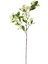 Yapay Islak Dokulu Sütleğen Çiçek Su Yeşili 77 cm . 3