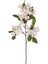 Yapay Çiçek Frosilva-Begonvil Dalı Beyaz 90 cm . 1