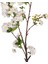 Yapay Çiçek Sakura Dalı Beyaz 95 cm . 2