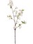 Yapay Çiçek Sakura Dalı Beyaz 95 cm . 3