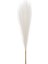 Yapay Bitki Pampas Beyaz Dal 108 cm . 1