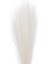 Yapay Bitki Pampas Beyaz Dal 108 cm . 2