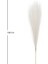 Yapay Bitki Pampas Beyaz Dal 108 cm . 4