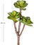 Yapay Kaktüs Sukulent Kırmızı-Yeşil 35 Cm. 4