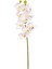 Yapay Orkide Gerçek Dokunuş Beyaz-Sarı 75 Cm. 3