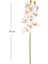 Yapay Orkide Gerçek Dokunuş Beyaz-Sarı 75 Cm. 4