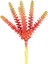 Yapay Kaktüs Sukulent Kırmızı/yeşil 26 cm 3