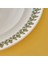 Indian Porselen Makarna Tabağı Yeşil (28 Cm) 2