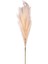 Yapay Bitki Pampas Dal Krem 108 cm . 1