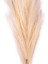 Yapay Bitki Pampas Dal Krem 108 cm . 2