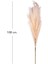 Yapay Bitki Pampas Dal Krem 108 cm . 3