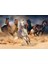 KS Games Wild Horses 1000 Parça Puzzle 2