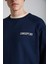 Brıstol Erkek 3 Iplik Içi Şardonlu Regular Sırt Baskı Detaylı Kol Şeritli Lacivert Sweatshirt 3