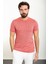 Kırçıllı Kiremit Slim Fit Bisiklet Yaka Erkek T-Shirt 1
