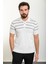 Çizgili Ekru Slim Fit Polo Yaka Erkek Triko T-Shirt 1